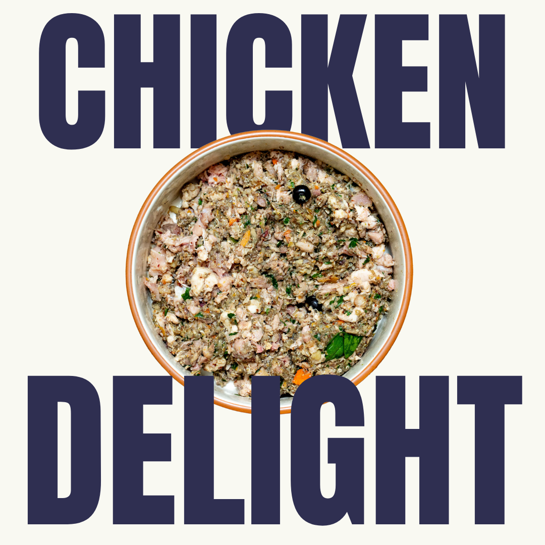 Rigbis Chicken Delight Displayed in an orange ceramic Bowl with Fresh ingredients 